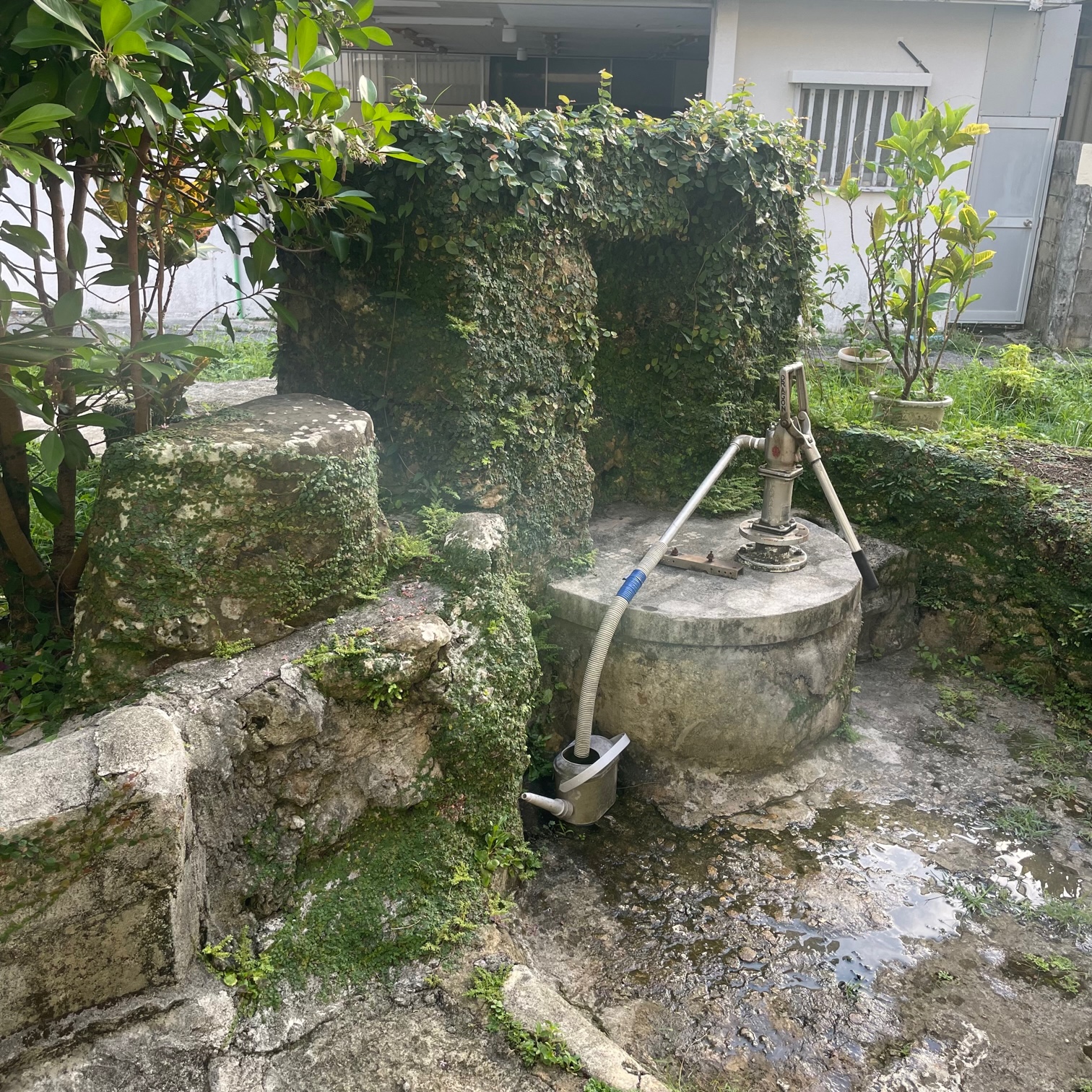 ocr-generated 王の殿 - Monumento(モニュメント)