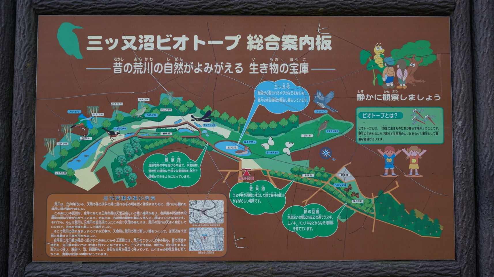 当時のメディア報道・掲載写真