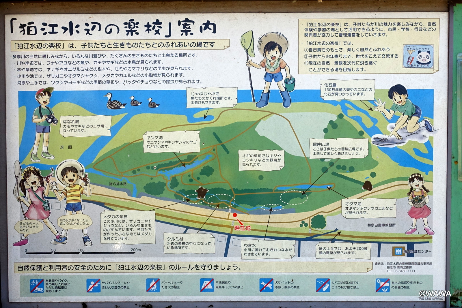 公の場での発言・インタビュー報道記録