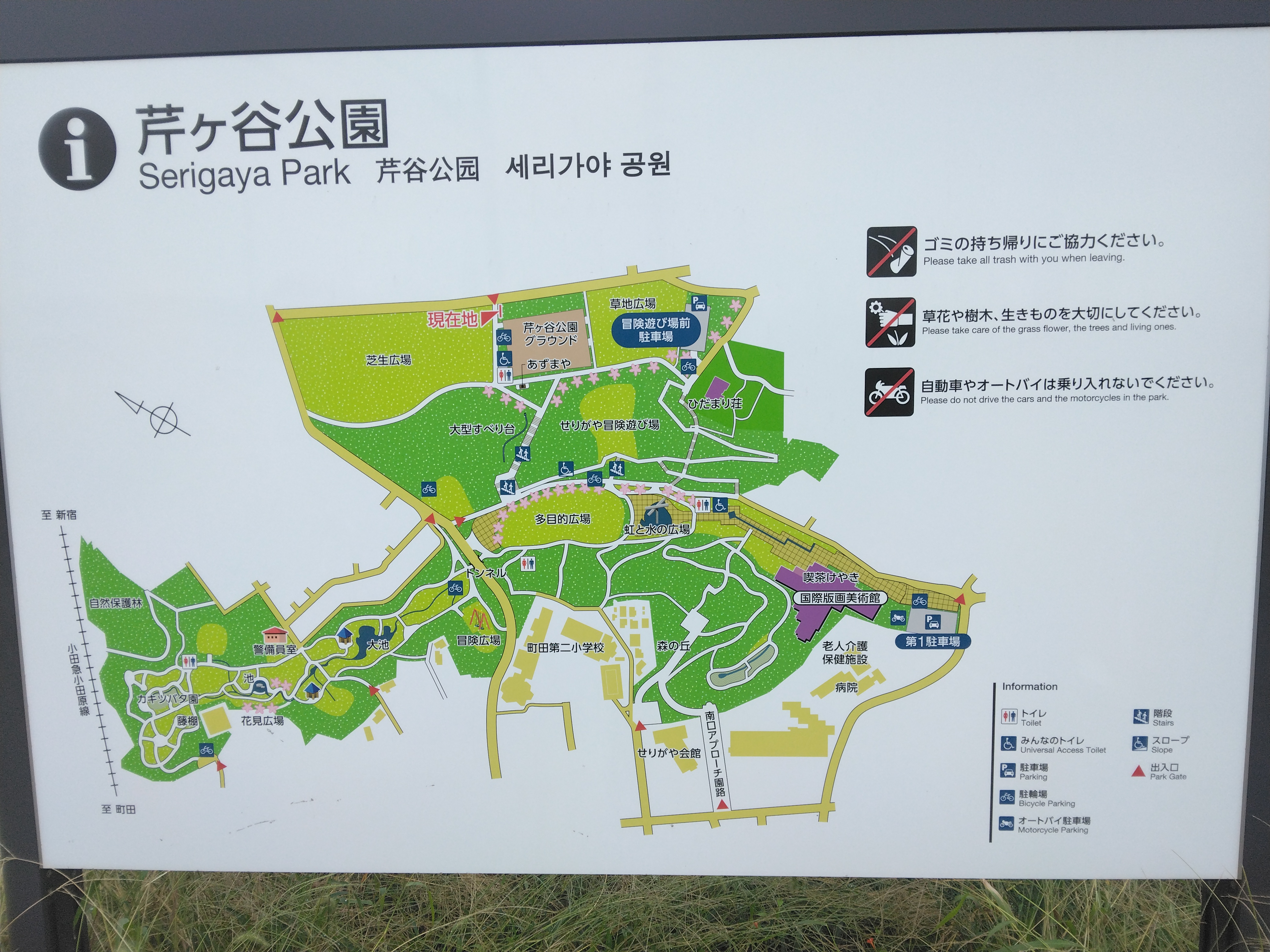 芹 ヶ 谷 公園