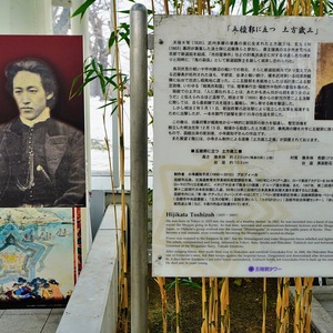 LEDファイヤーランタン五稜郭限定 土方歳三 商品の説明LEDファイヤー